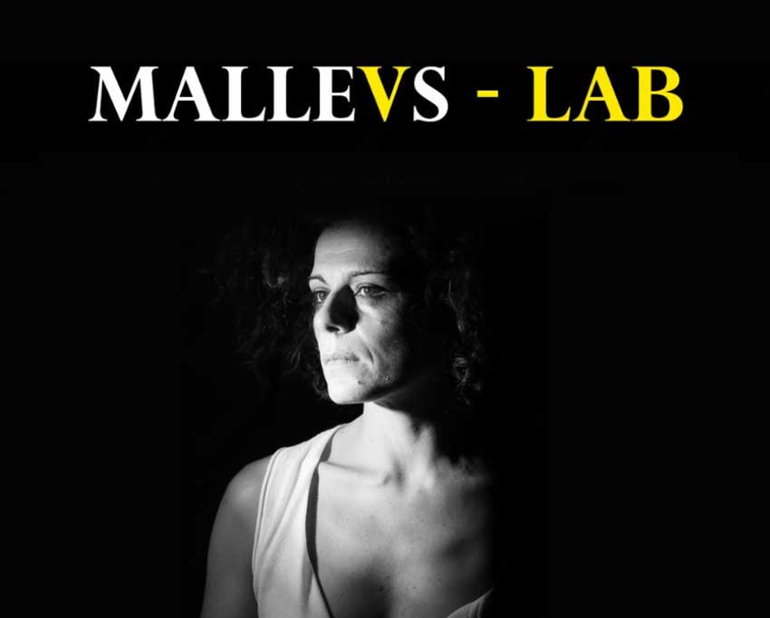 Locandina Workshop Malleus Lab - pagina griglia